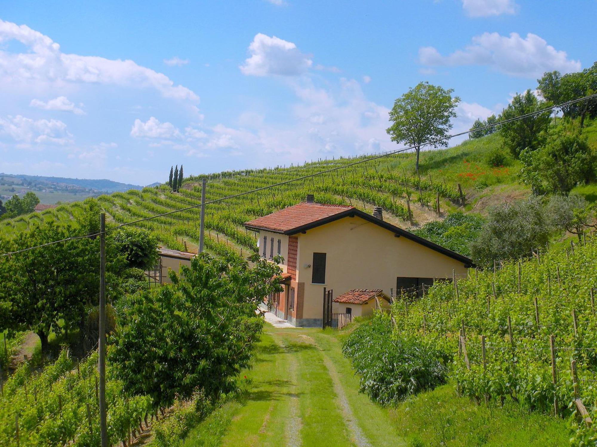 Willa Cascina Tra I Vigneti A Nizza Monferrato Zewnętrze zdjęcie