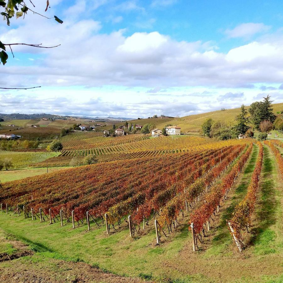 Willa Cascina Tra I Vigneti A Nizza Monferrato Zewnętrze zdjęcie