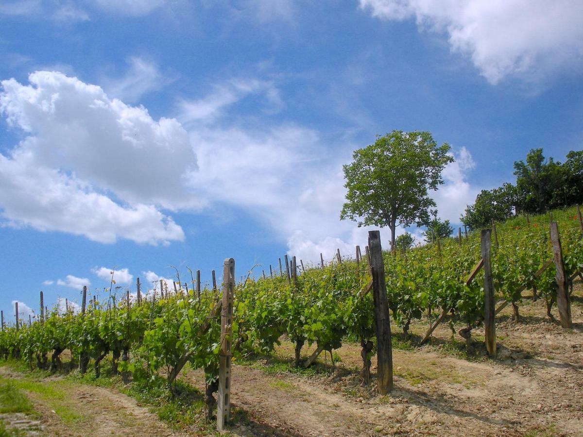 Willa Cascina Tra I Vigneti A Nizza Monferrato Zewnętrze zdjęcie